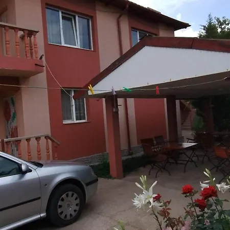 Pensiune Casa Dobrescu Cata Si Miha